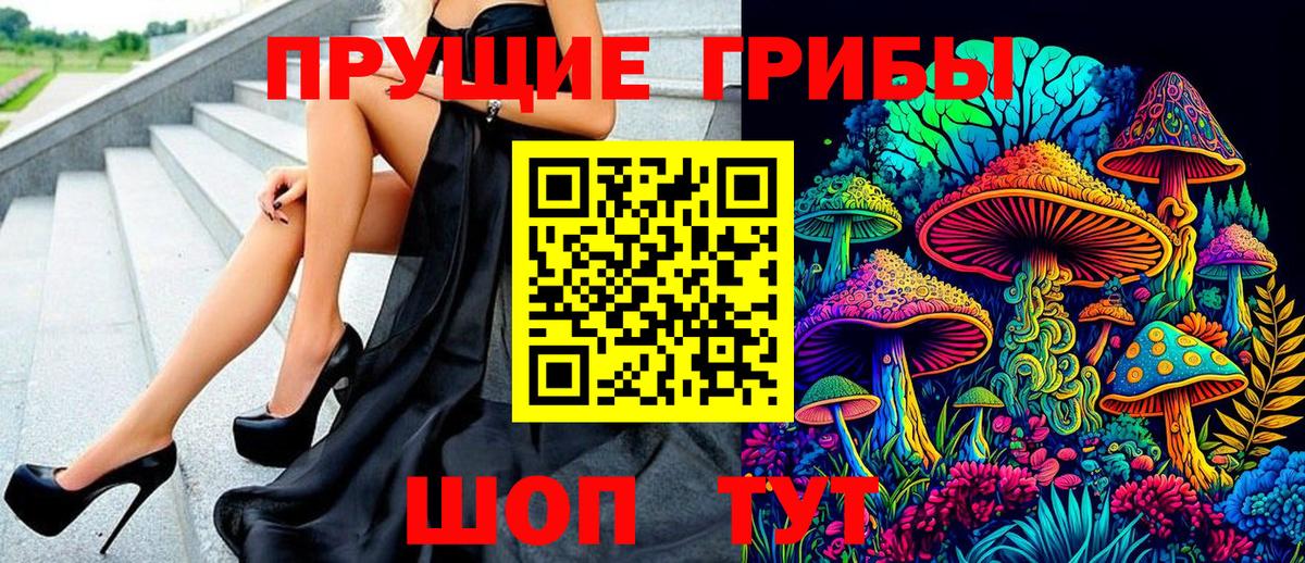 Псилоцибиновые грибы Psilocybe  Вход с VPN  Мыски 